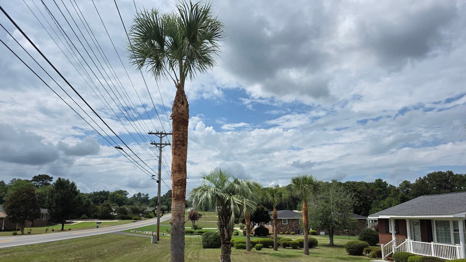Jr Lawn Care & Tree Services — lawn care and tree service across the Aiken and Augusta area